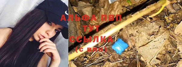 2c-b Лихославль