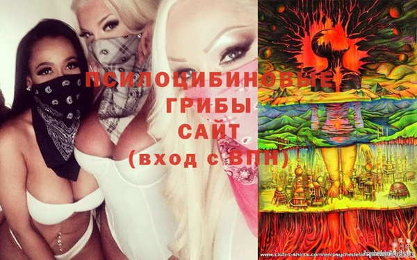 мдпв Верея
