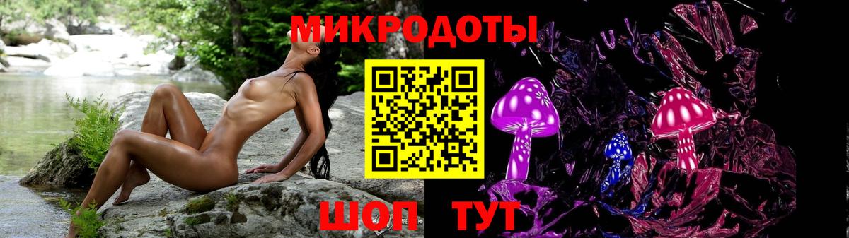 Псилоцибиновые грибы Psilocybine cubensis  Ирбит 